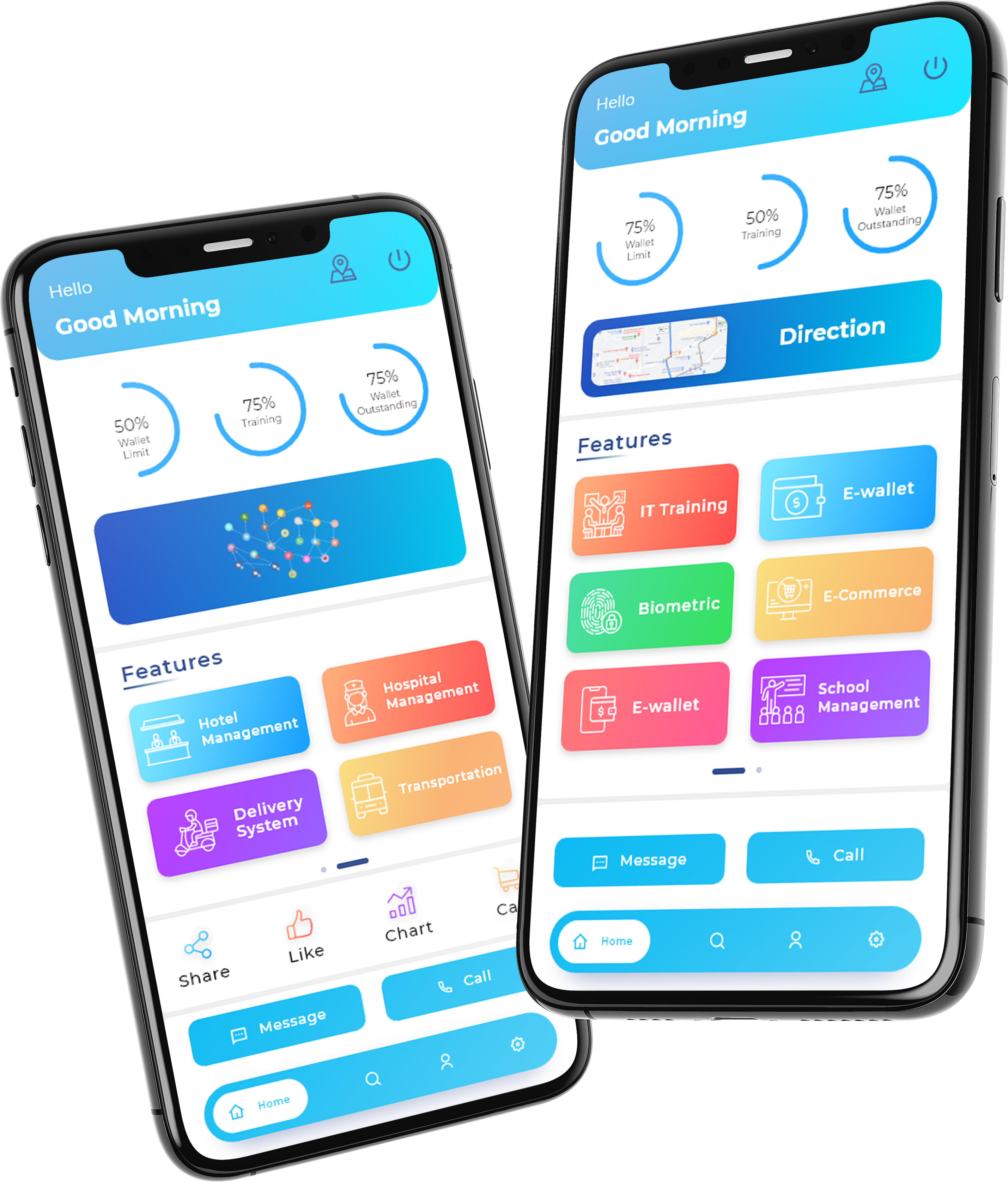 dual phone